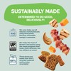Shameless Pets Crunchy Dog Treats - Snack Mix Variety, 10oz