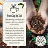 Numi Organic Rooibos Chai Tea Loose Leaf, Caffeine-Free Chai Tea