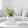 Square Plant Saucer 6 Inch 2 Pack，Plant Trays for Pots,