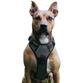 No Pull Dog Harness, Adjustable, Breathable, Reflective, Soft Padded Dog Harness, Chest Harness for Dogs (Black, XL)
