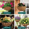 YORKING 6 Packs 8 Inch Hanging Basket Coco Coir Liners