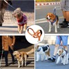 2Pcs Muzzle Leash for Heavy Pullers, Dog Over Mouth Training