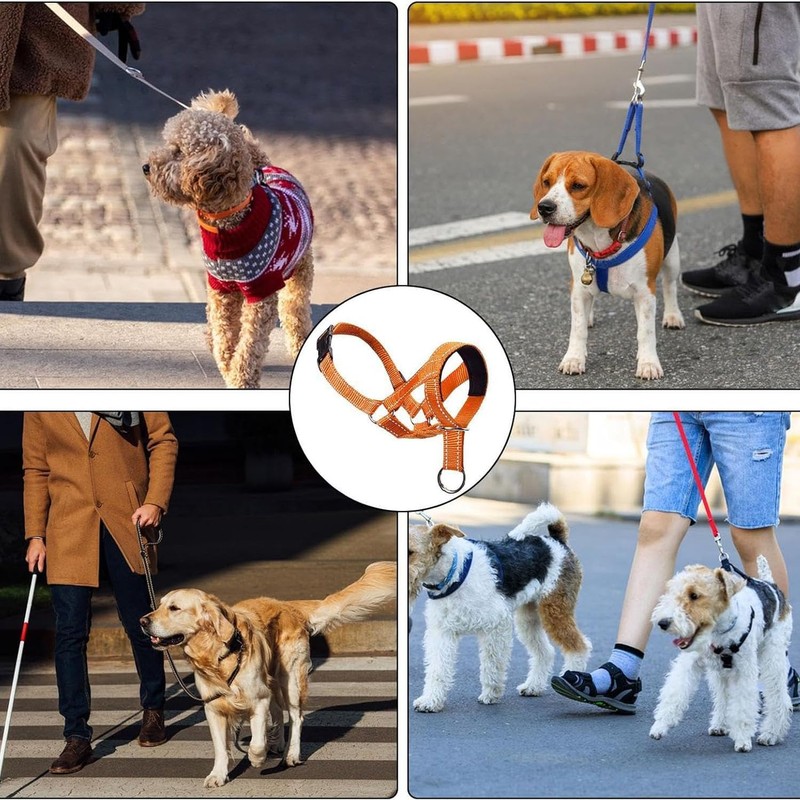 2Pcs Muzzle Leash for Heavy Pullers, Dog Over Mouth Training