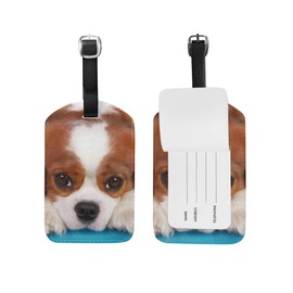 My Daily Cavalier King Charles Spaniel Dog Luggage Tag PU Leather Bag Travel Suitcase Baggage Label 2 Pieces Set