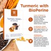 healthspan Healthspan Turmeric 10,000mg with BioPerine Black Pepper Extract (2
