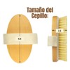 Cepillo Corporal Exfolia Quita Piel Muerta Mejor Circulacion