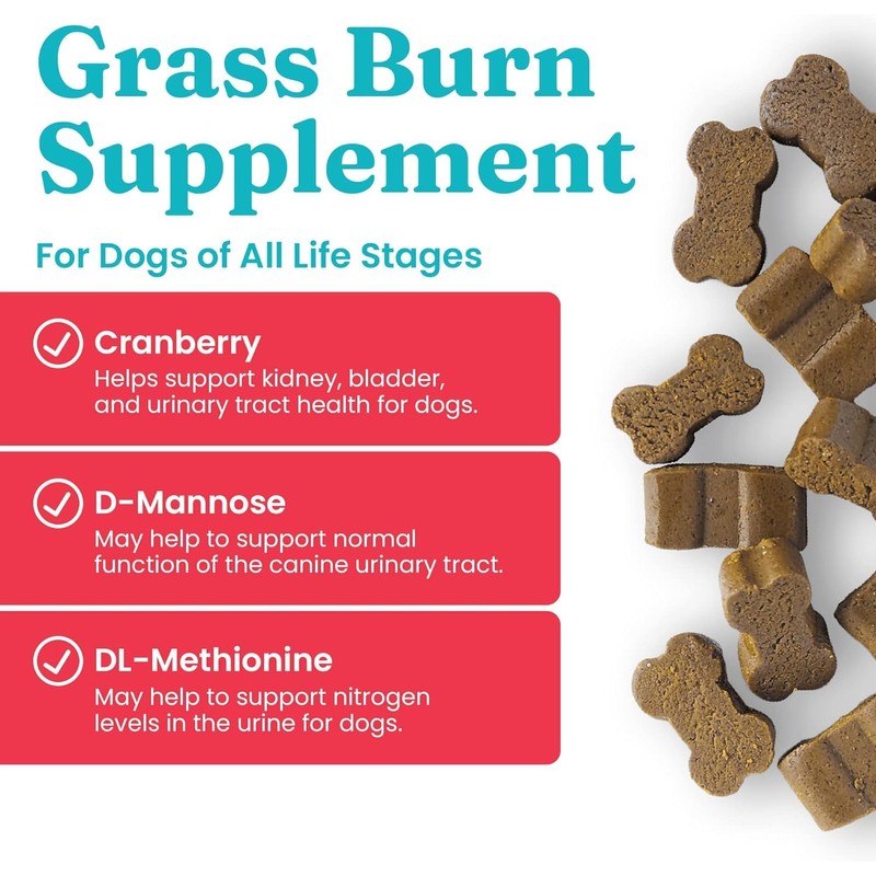 Solid Gold Grass Guardian Chews for Dogs - 10 Count