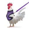 Chicken Harness with Leash, Adjustable Chicken Leash for Hens, Duck,