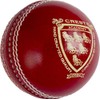 Gray-nicolls Ball Crest Academy 5.5oz Red