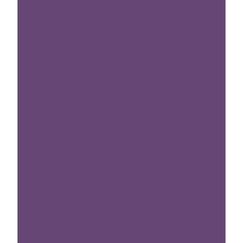 ARK A4 240gsm Colored Card Stock Pack of 10 Sheets (Purple)