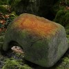 Heated Reptile Cave Reptile Rock Hide Cave Hiding Place for