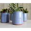 Fermiere Honey Yogurt Terracotta Pot 140g x 6 French
