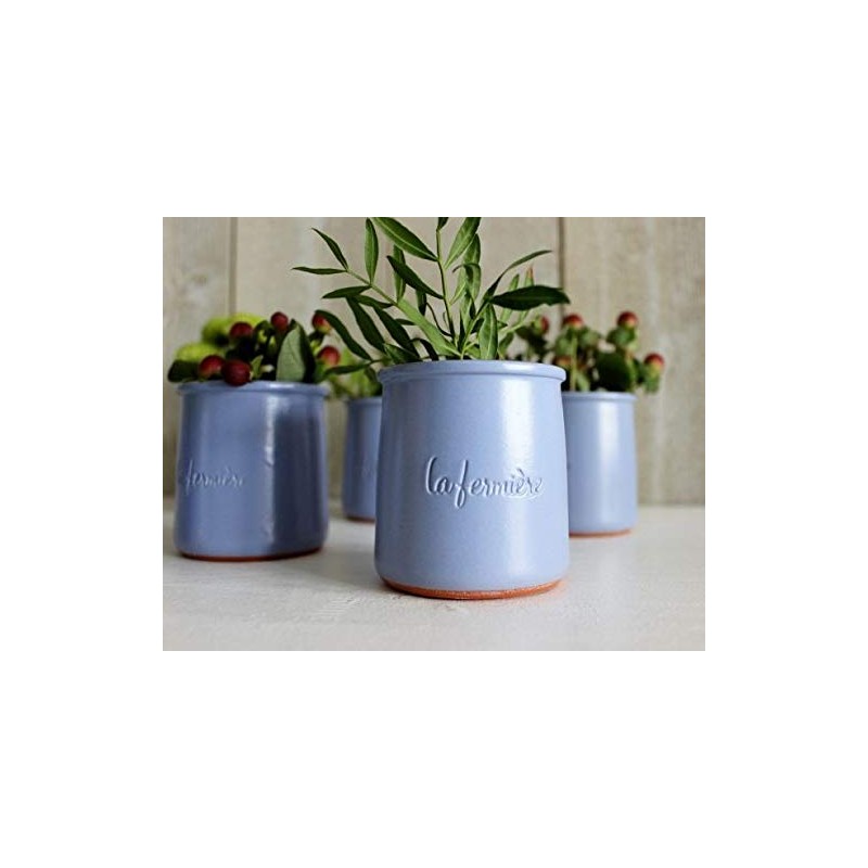 Fermiere Honey Yogurt Terracotta Pot 140g x 6 French