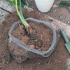 Foyego 4Pcs 15 Gallon Root Guard Baskets for Plants, Underground
