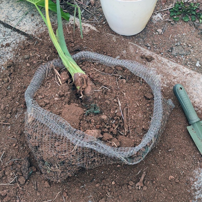 Foyego 4Pcs 15 Gallon Root Guard Baskets for Plants, Underground