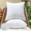 22x22 Outdoor Pillow Inserts (Set of 2) - Plush &