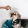 GLADFRESIT Wooden Handle Pet Double Row Comb Solid Wooden Pet