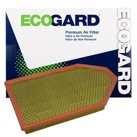 ECOGARD XA6167 Premium Engine Air Filter Fits Dodge Charger 3.6L 2011-2021, Challenger 3.6L 2011-2021, Charger 5.7L 2011-2021, Challenger 5.7L 2011-2021, Challenger 6.4L 2011-2021