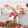 Christmas Outfits for Dogs, Christmas Jumper for Cat Medium Winter