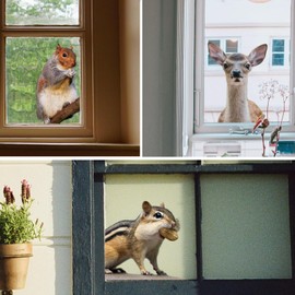 ROLY BEE 3 PCS Woodland Animals Squirrels Deer Hamsters Realistic Fun Gazing Window Stickers Reusable Anti-Collision Double Sided Window Stickers Living Room Bedroom Window Glass Door Decoration