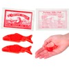 Zugar Land Large Mood Fortune Teller Miracle Fish (3.5") Pack.