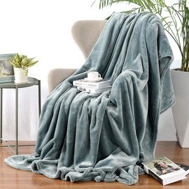 Hugs Living Flannel Fleece Throw Blanket, Super Soft and Thick Throw Blankets for Home Decor, Travel Blanket, Sofa Bed, Camping Blanket, Couch Throw (Sage, 50" x 60")