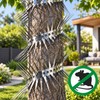 Stainless Steel Anti-Climbing Spikes for Pest Deterrence – Physical Barrier