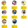 Waterproof Dog Raincoat, Adjustable Reflective Lightweight Pet Rain Clothes with