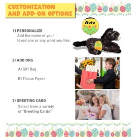 DolliBu Wild Lying Black Horse with Yellow Easter Egg Plush and Name Personalization - Cute Stuffed Animals for Easter Basket, Easter Egg Stuffed Animal Spring Toys for Girls, Boy, Baby - 10.5 Inches