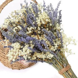 Dried Lavender & Baby's Breath Flowers Bundles, 2 Bunches Dried Flower Bouquet for Vase, Natural Gypsophila for Home, Wedding, Photography, Floral Arrangement, DIY