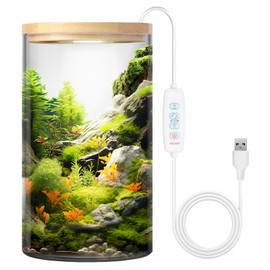 5.9" x 9.8" Desktop Plant Terrarium with Grow Light for Succulent, Moss, Miniature Gardening Landscape, Houseplant Growth, Hydroponics, Office Home Décor, Plant Lover Gifts