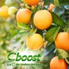 C-Boost Gomitas Multivitaminas & Minerales 2G-180 Pzs