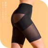 Style Up Regular Girdle (Sante Labo Pelvic Girdle, Regular Purpose