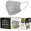 Fuji Kogyo Gray Mask, Pack of 30