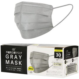Fuji Kogyo Gray Mask, Pack of 30