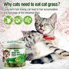 50g Cat Grass Teething Treat, Delicious Cat Grass Teething Snack