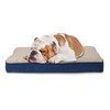 Furhaven Orthopedic Dog Bed for Large Dogs w/ Removable Washable
