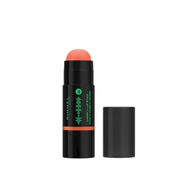 Rimmel Multi Stick Collection Festival Sounds 210 Radiant Peach 6G