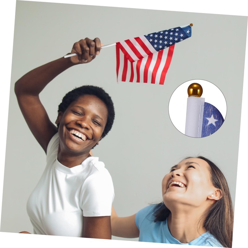 Ipetboom 20pcs Handheld Stick Flags Set Usa Germany Flags for
