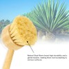 2 Pack Natural Kitchen Dish Brushes with Sisal & Palm