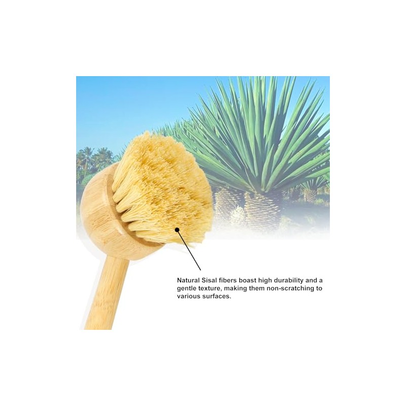 2 Pack Natural Kitchen Dish Brushes with Sisal & Palm