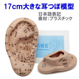 Felimore Ear Model Right Ear Acupressure Point Model Japanese Labeling Convenient to Carry Easy to Understand Acupressure Point Pressing Reproduces Contours Too 6.7 inches (17 cm)