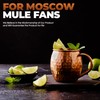 Moscow Mule Cups Set of 4 | 100% Pure Copper