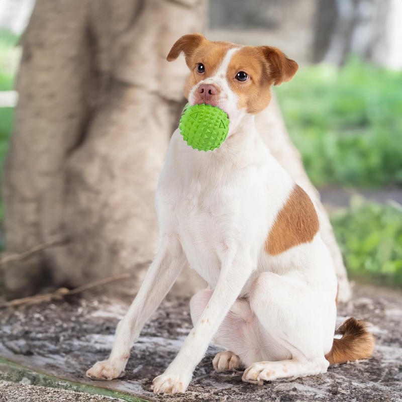 Best Pet Supplies Tough Dog Toys for Aggressive Chewers -