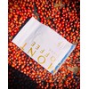 Mont Coffee - Geisha Coffee Ecuador, Whole Bean, Fresh Roasted,