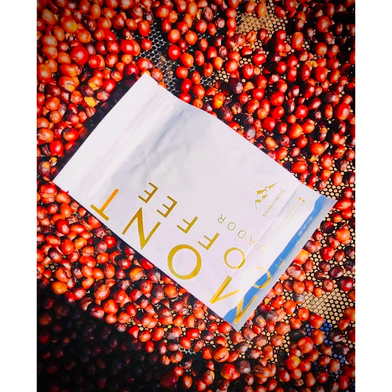 Mont Coffee - Geisha Coffee Ecuador, Whole Bean, Fresh Roasted,