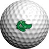 Golfdotz - USGA Rule Conforming Golf Ball Markers, Golf Ball