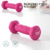 SONGMICS SYL61PK Dumbbells, Colorful Iron Array, 1.1 lbs (0.5 kg)