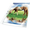 Durable 267619 Document Sleeves (DIN A4 Premium, Extra Strong, 0.08