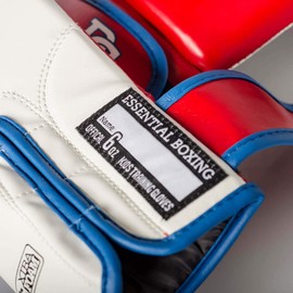 Paffen Sport Kids Boxing Gloves for Boxing Training Kickboxing Muay Thai K1 and Other Martial Arts (Red/Blue/White, 6UZ)